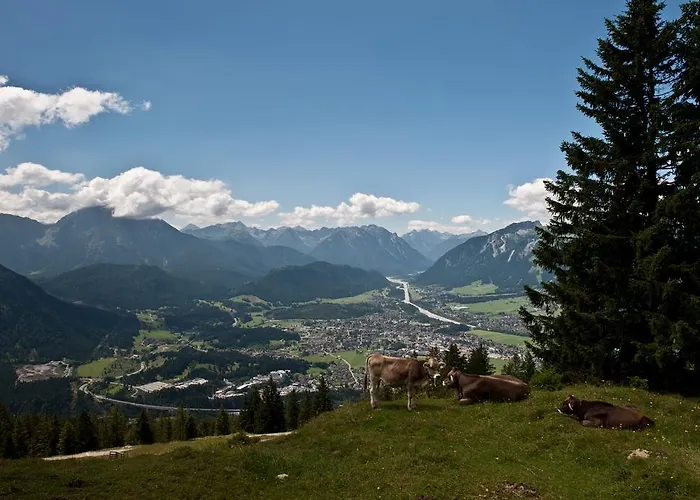 Haus Moosbrugger Pensjonat Reutte
